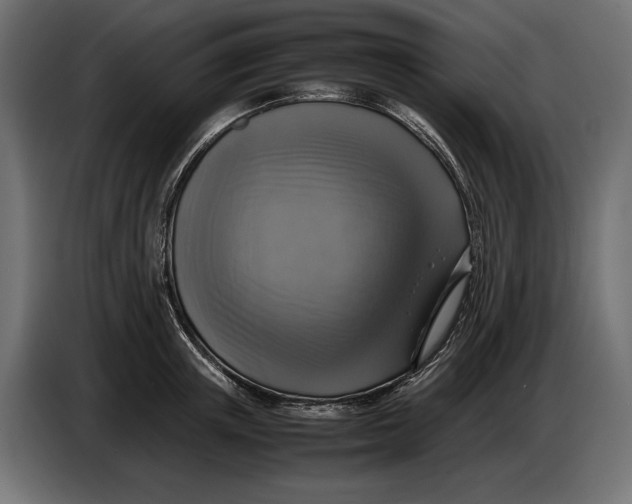 X0000086760851200705041446