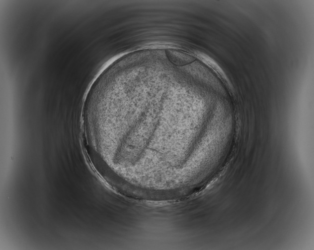 X0000086760852200705041446