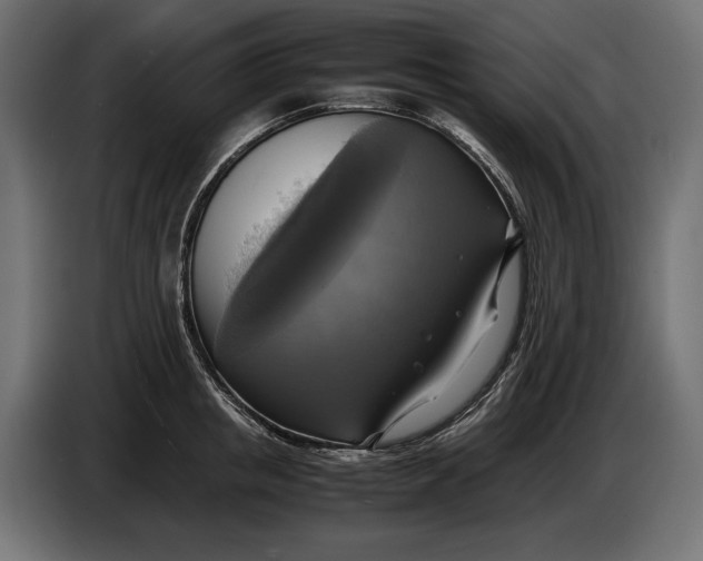 X0000086760853200705041446