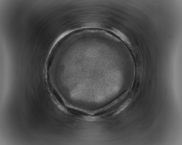 X0000086760854200705041447