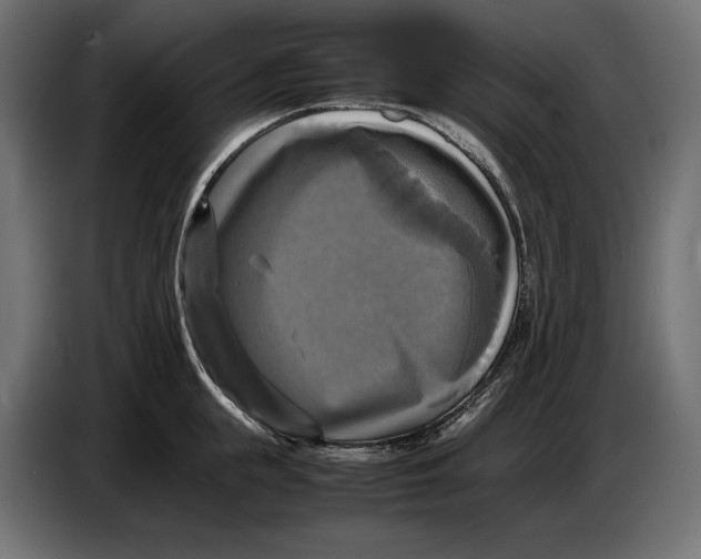 X0000086760855200705041447