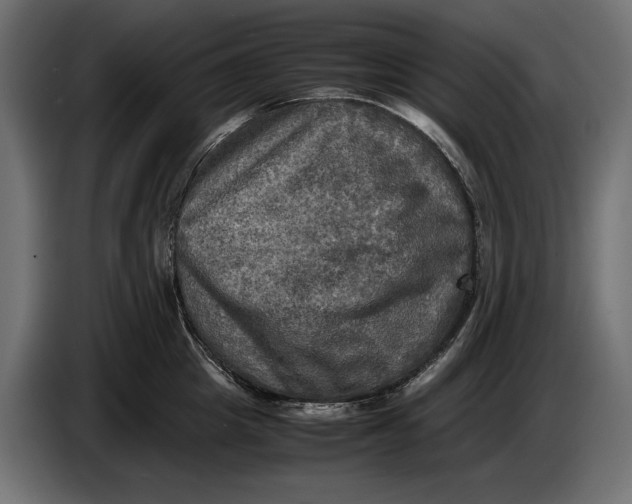 X0000086760857200705041447