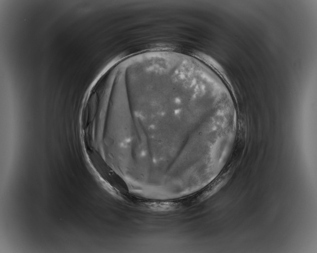 X0000086760859200705041447