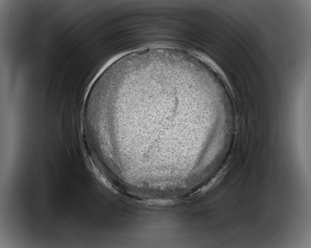 X0000086760860200705041447