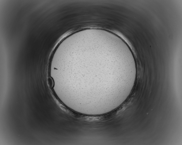 X0000086760861200705041447