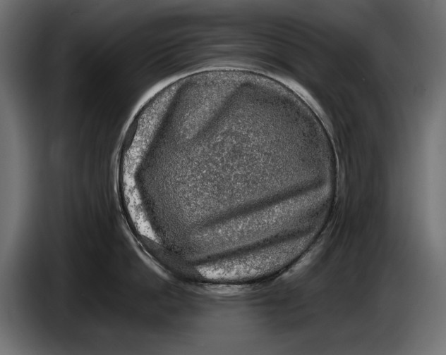 X0000086760862200705041447