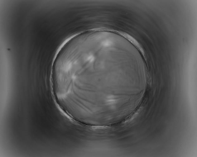 X0000086760863200705041447