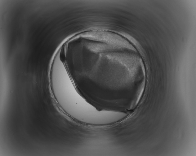 X0000086760864200705041447