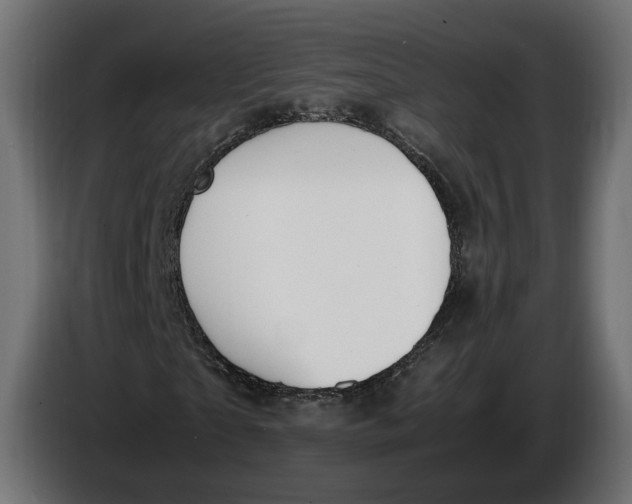 X0000086760865200705041446