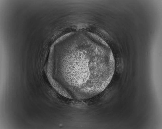 X0000086760866200705041446