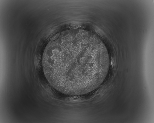 X0000086760867200705041446