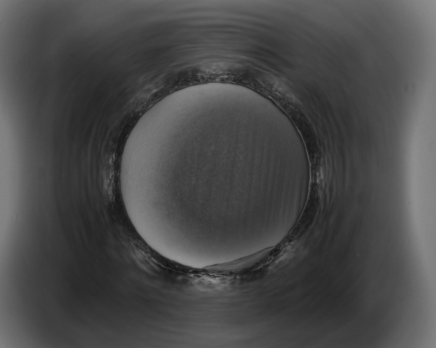 X0000086760868200705041446