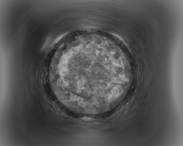 X0000086760871200705041446