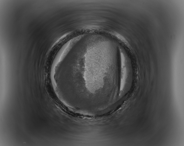 X0000086760872200705041446