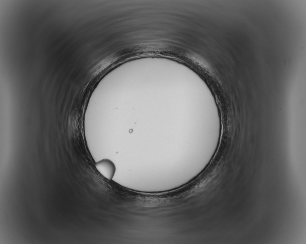 X0000086760873200705041446