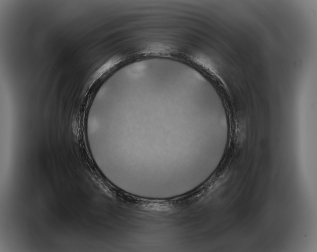 X0000086760874200705041446