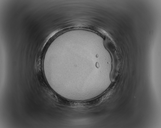 X0000086760875200705041446