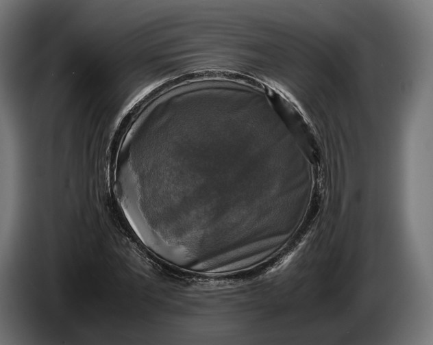 X0000086760877200705041446