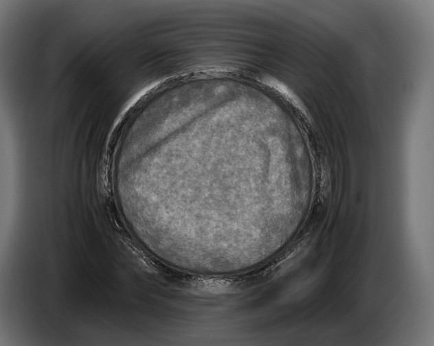 X0000086760878200705041446