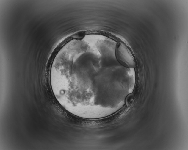 X0000086760879200705041446