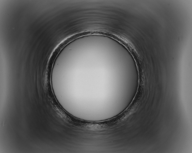 X0000086760880200705041446