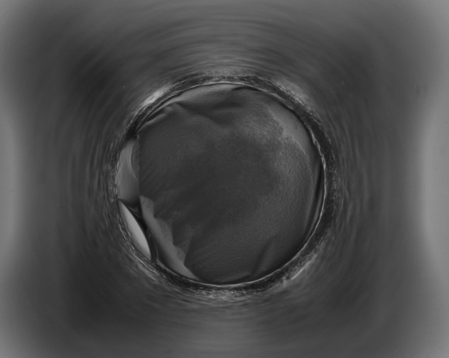 X0000086760881200705041446