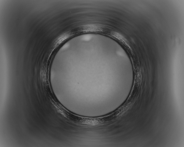 X0000086760882200705041446