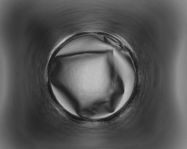 X0000086760885200705041446