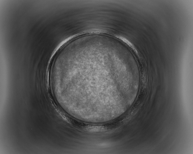 X0000086760886200705041446