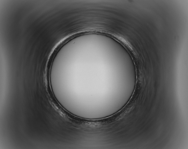 X0000086760888200705041446