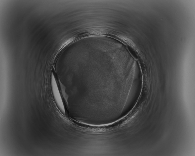 X0000086760889200705041446