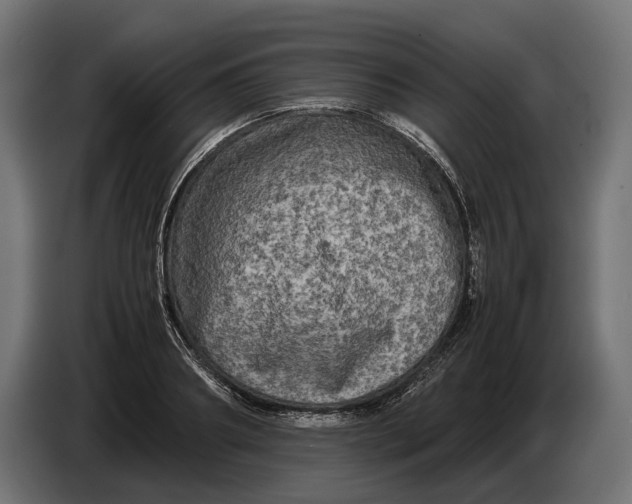 X0000086760890200705041446