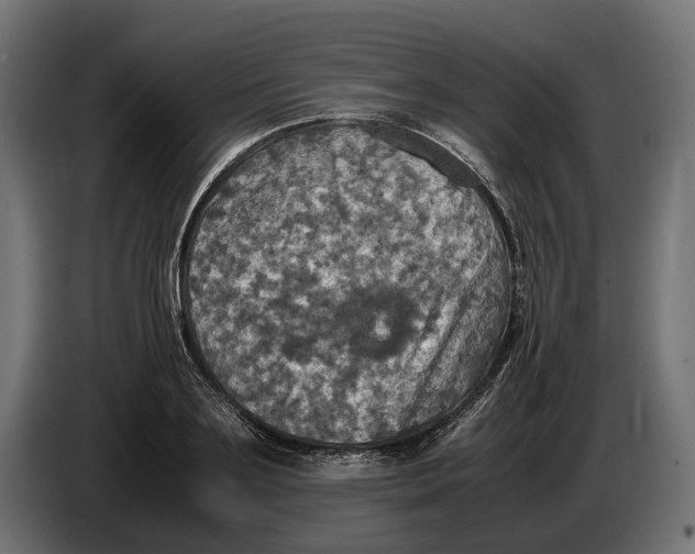 X0000086760891200705041446