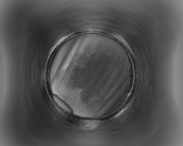 X0000086760893200705041446