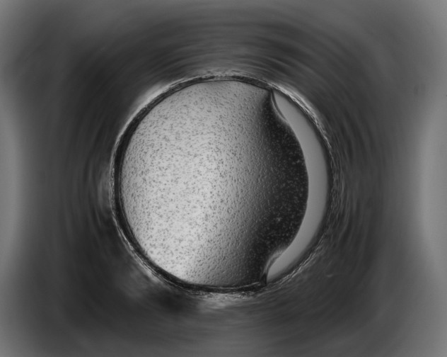 X0000086760894200705041446