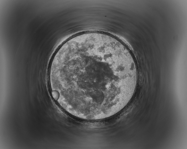 X0000086760895200705041446