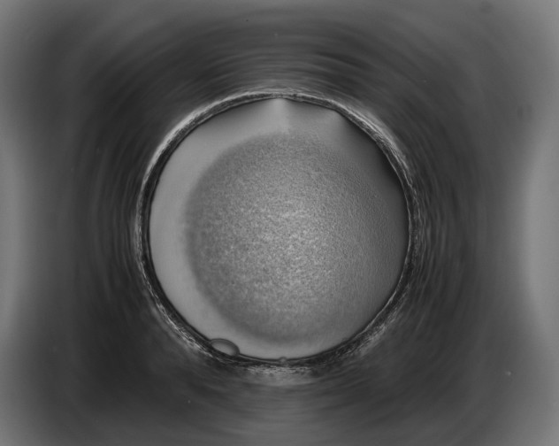 X0000086760896200705041446