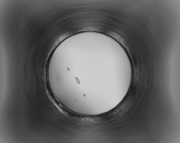 X0000086760898200705041446