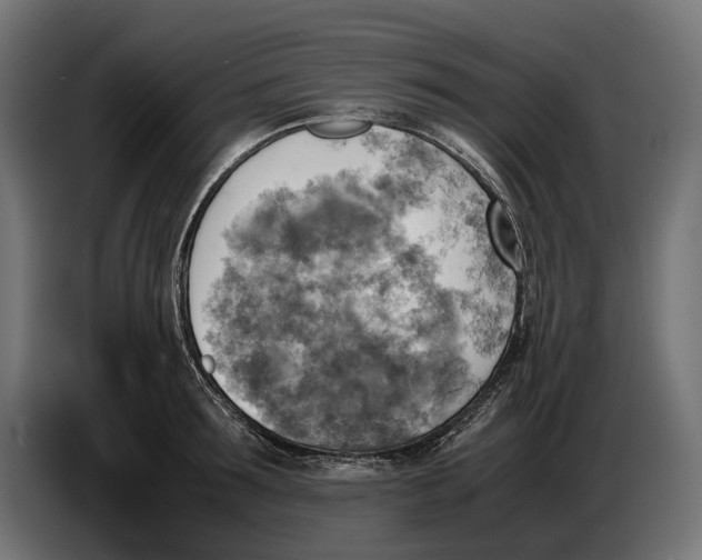 X0000086760899200705041446