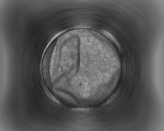 X0000086760900200705041446