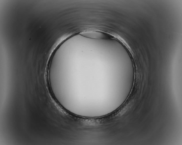 X0000086760901200705041446