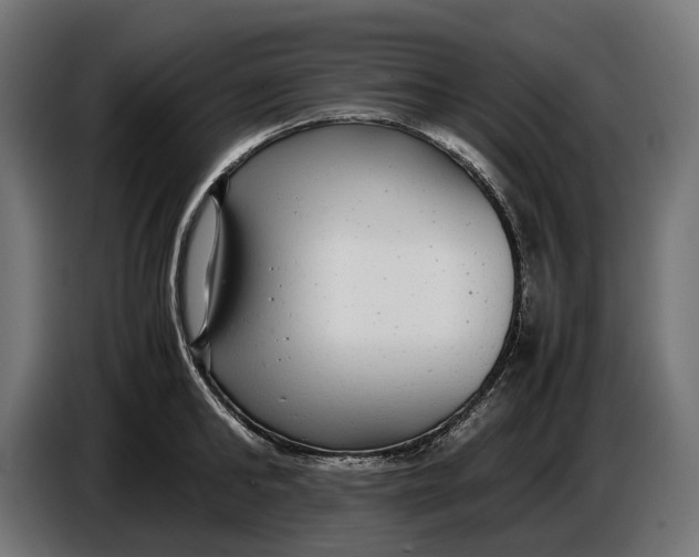 X0000086760902200705041446