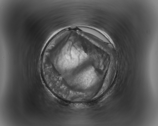 X0000086760903200705041446