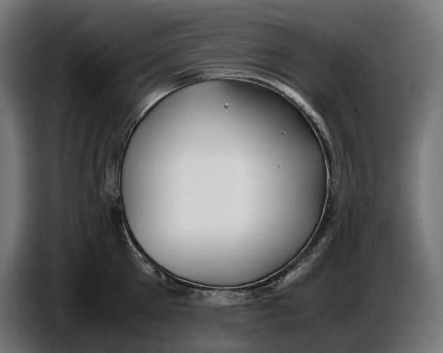 X0000086760905200705041445