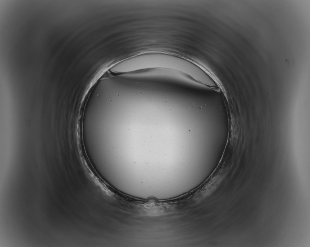 X0000086760906200705041445