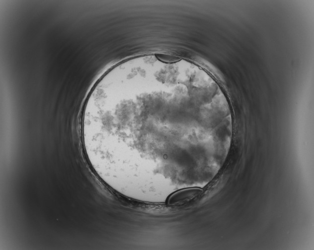 X0000086760907200705041445