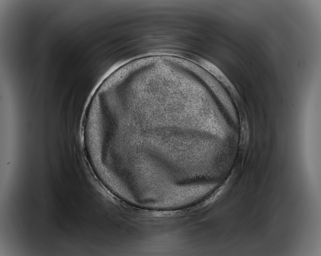 X0000086760908200705041445