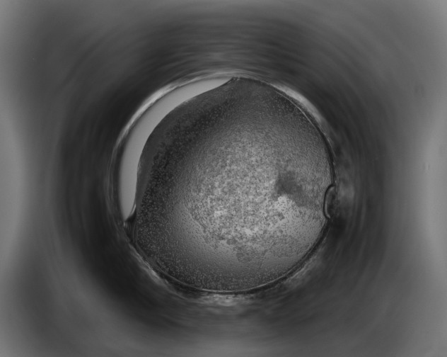 X0000086760910200705041445