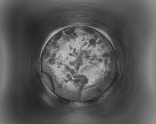 X0000086760911200705041445