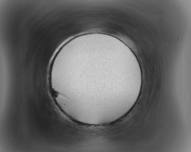 X0000086760912200705041445